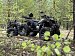 PROMAX 320 DOMINATOR (2025)